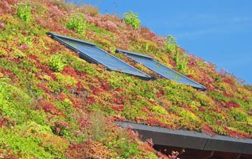Horsemans Green living roof systems