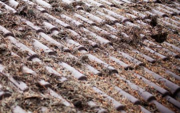 Horsemans Green roof cleaning companies