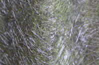 Horsemans Green fibreglass roof work